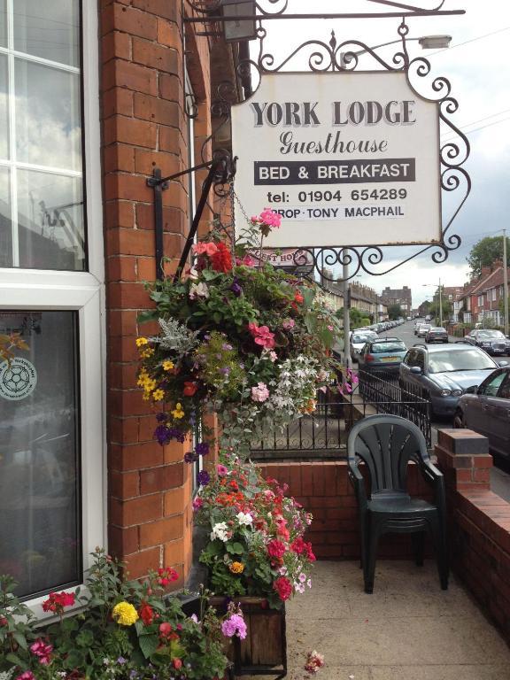 York Lodge Guesthouse 객실 사진